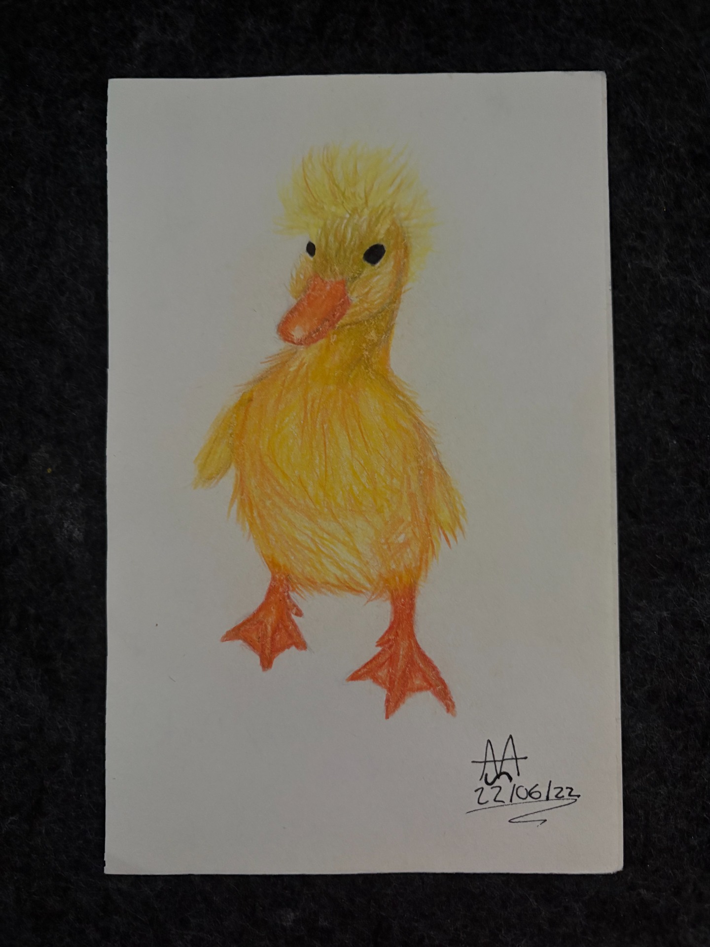 Caran d'ache fuzzy duck